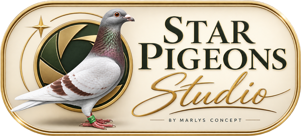 Star-Pigeons Studio